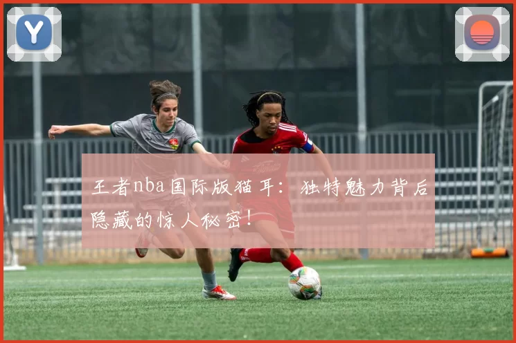 王者nba国际版猫耳：独特魅力背后隐藏的惊人秘密！