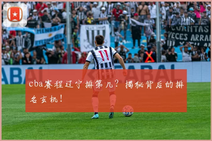 cba赛程辽宁排第几？揭秘背后的排名玄机！