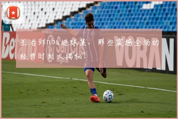 王治郅nba进球集,那些震撼全场的经典时刻大揭秘!