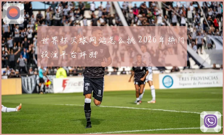 世界杯买球网站怎么挑 2026年热门投注平台评测