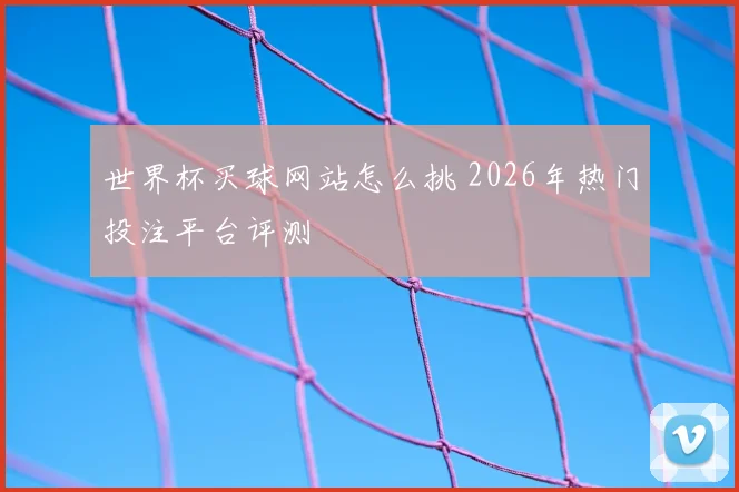 世界杯买球网站怎么挑 2026年热门投注平台评测