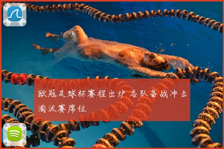 欧冠足球杯赛程出炉 各队备战冲击淘汰赛席位