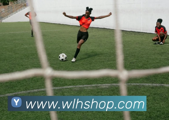 多媒体互动体验