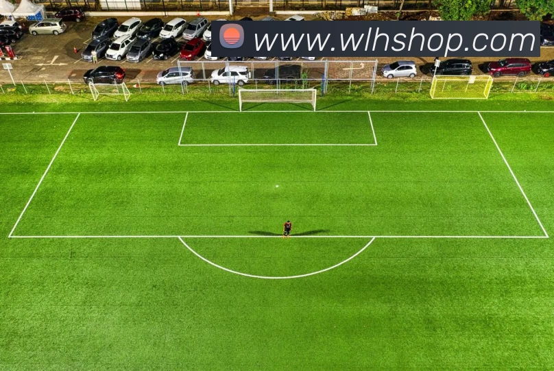 数据防护可视化