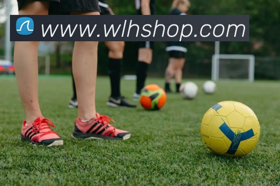 开云官方版网站登录入口 - 开云online(中国)全站App